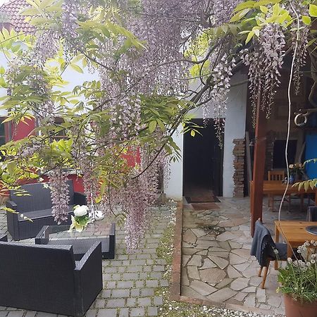 Gaestehaus Kleine Muehle كريمس ان دير دوناو المظهر الخارجي الصورة
