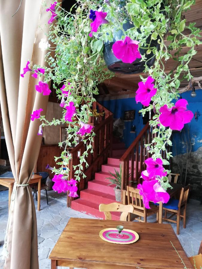 Gaestehaus Kleine Muehle كريمس ان دير دوناو المظهر الخارجي الصورة